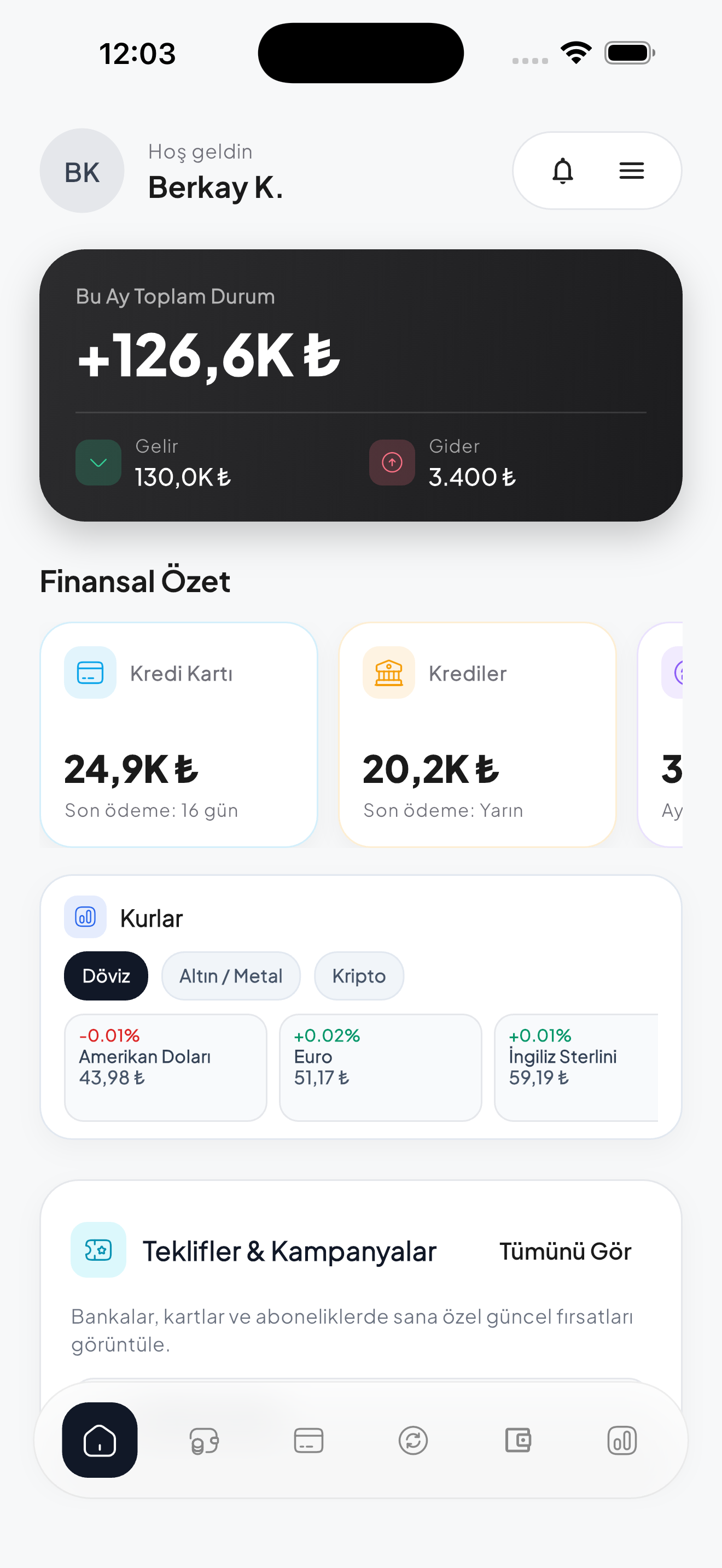 Gelir gider, bütçe ve varlık görünümü ekranı